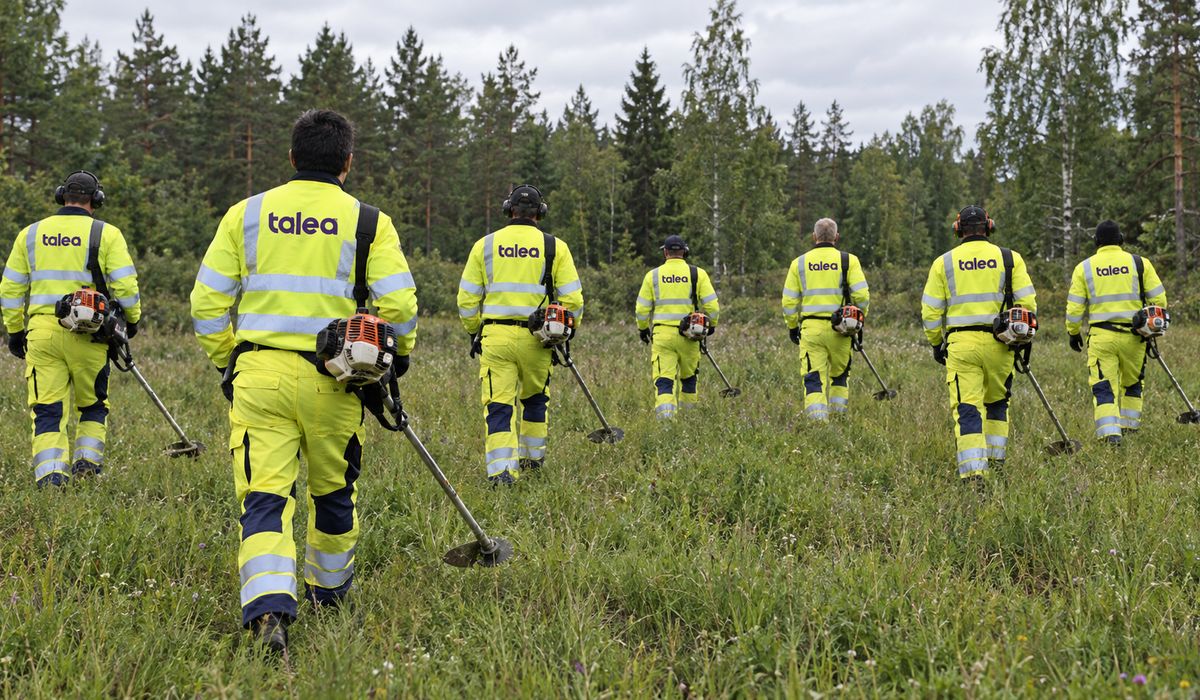 Åtta av Taleas röjare i varselkläder går med röjsågar över en äng mot skogsbrynet